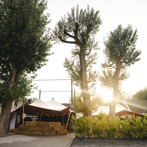 10 x 15 Stretchtent Taupe 